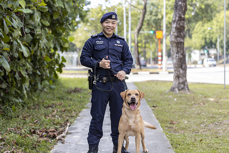 k9 police dog leash